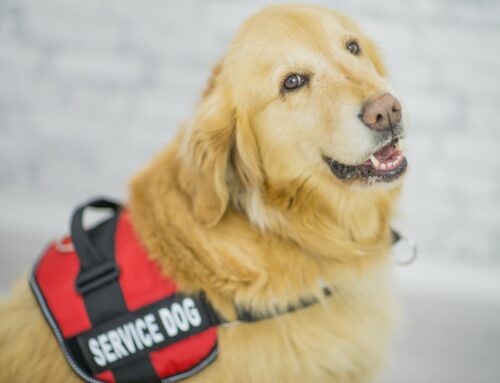 Governor Signs HOA Service Dog Law