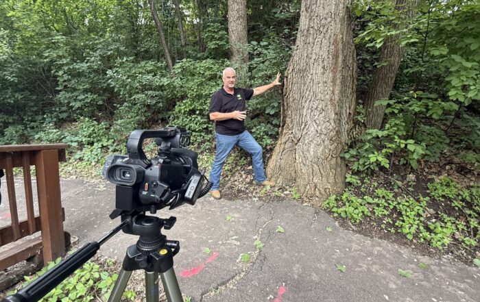 A tree walk around at Lakeville HOA