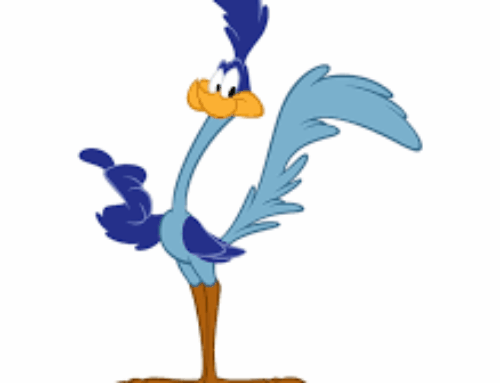 Road Runner, an HOA is After You
