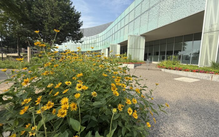 Ames Center Burnsville