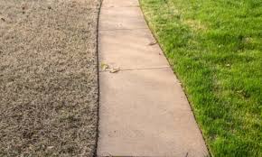 Brown lawns