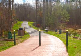Trail in NC