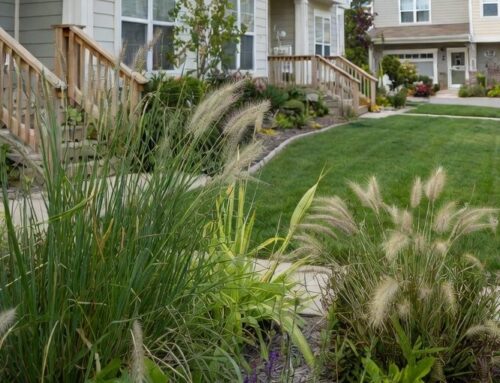 A Blooming HOA Lawsuit