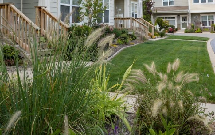HOA natural grasses