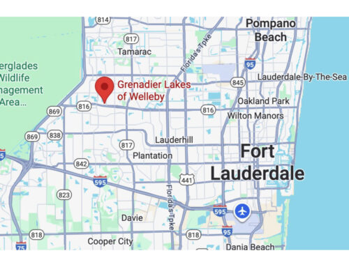 The Seawall That Wasn’t