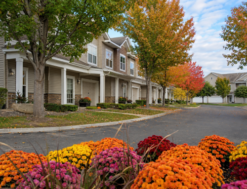 A Busy HOA Week